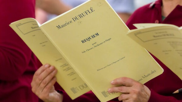 Copyright © Nico Peters