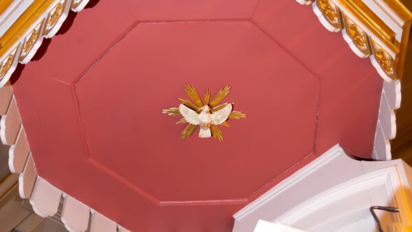 Copyright © Nico Peters